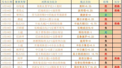 新援助力球队崛起：勒韦尔、曼恩替补爆发，尼昂斩获11分5板